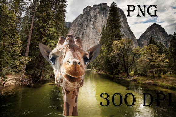 Giraffe Mountain Fantasy: Print Templates Review