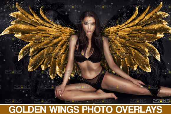 Gold Fairy Wings Overlay for Actions Amp